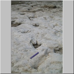 100_0429 (2009-26-07)cr.jpg